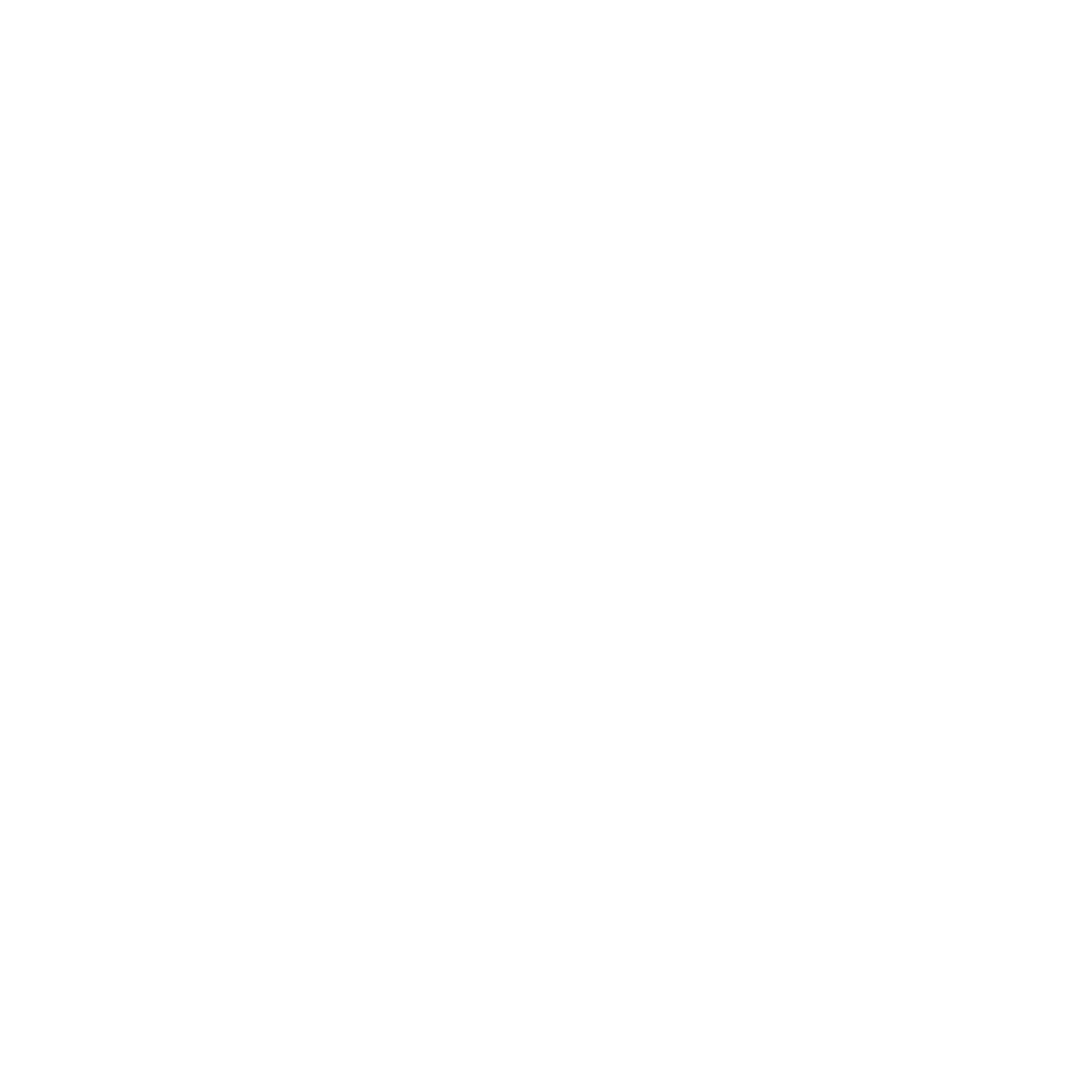 Integrity Icon White